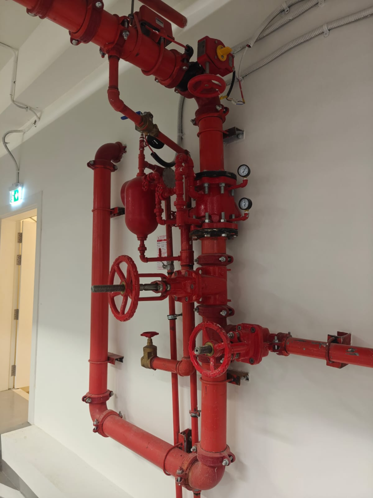 789e2ebf 3cbb 49d3 b8e3 27a3ad9a0bfb.webp