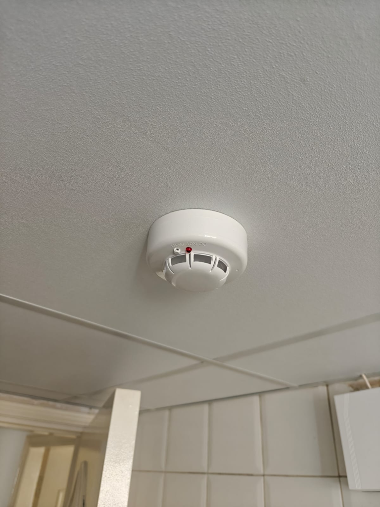 d150b99d 50d9 46d8 b353 b6ac5362b2fc